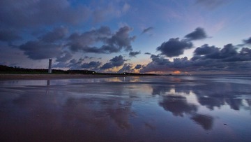 IMG_2955.jpg