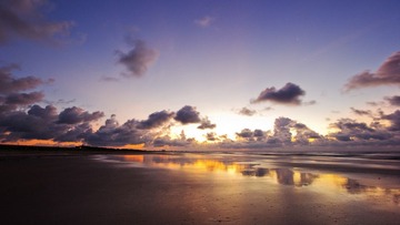 IMG_2963.jpg