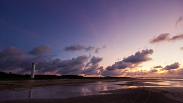 IMG_2968.jpg