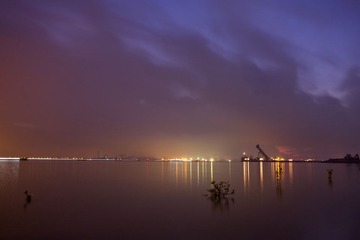 IMG_5988.jpg