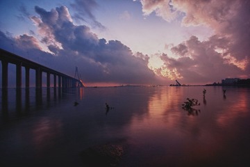 IMG_6002.jpg