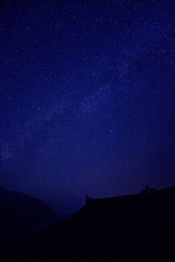 IMG_5503.jpg