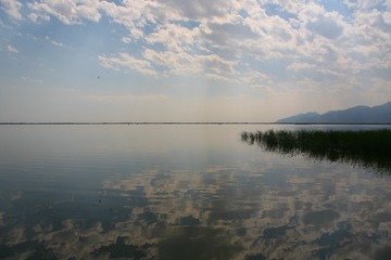 未命名-48