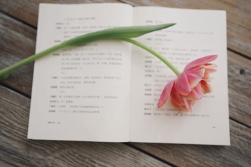BE88AD83-C7C6-488F-BC54-D88A9C3F2AF1/L0/001