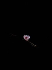 0537776C-3F89-49A7-BE14-47399421F750/L0/001
