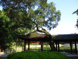 公园