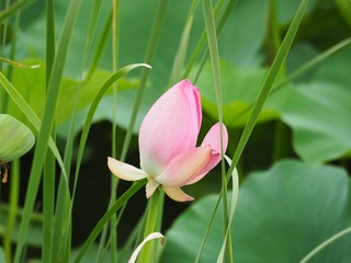 Optional("58DA7165-26BD-45A1-B249-ABE1E1D1B7BA/L0/001")