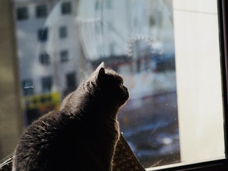 Optional("ECFACD99-A687-4570-BFF9-55257211DF6A/L0/001")