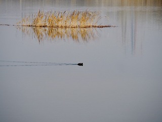 Optional("252E1495-35C5-43AD-A7D4-8E2E37333FDE/L0/001")