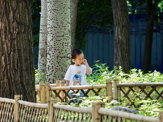Optional("94373E38-012B-47B6-9A26-2D3EC152648C/L0/001")