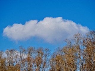 Optional("41FA9C7B-69F6-47DB-8CA8-1C9CA55E344F/L0/001")