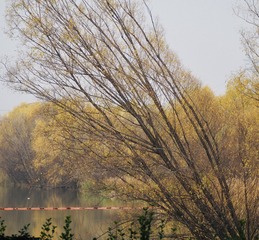 Optional("A19FFB3B-D8BA-42EF-B5AC-006D5375D5C3/L0/001")