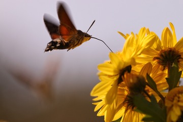 tmp_09aa2b109adffd88a052ce3ecc2f5874