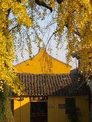 18712