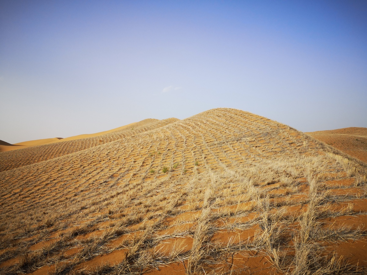 防风固沙