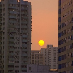 煎蛋