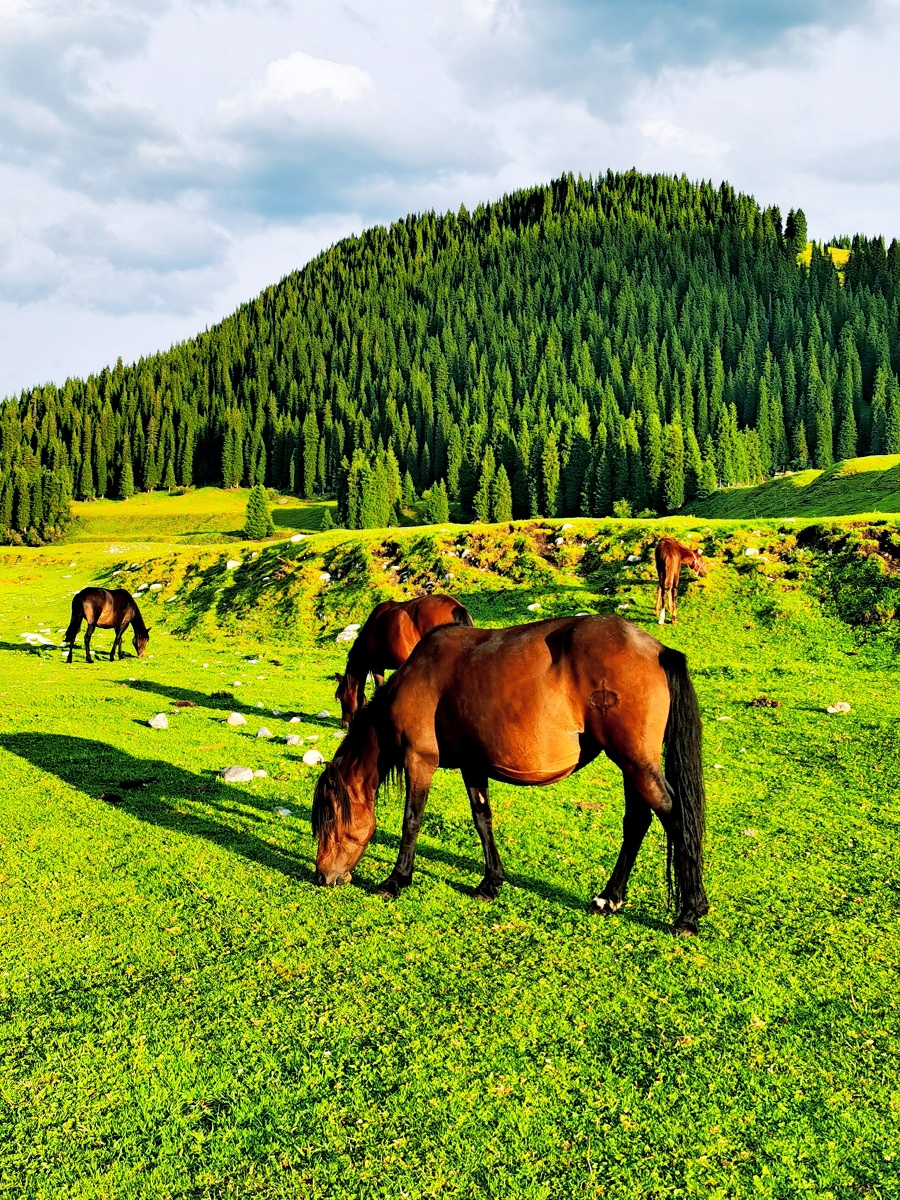 新疆伊利仙女湖