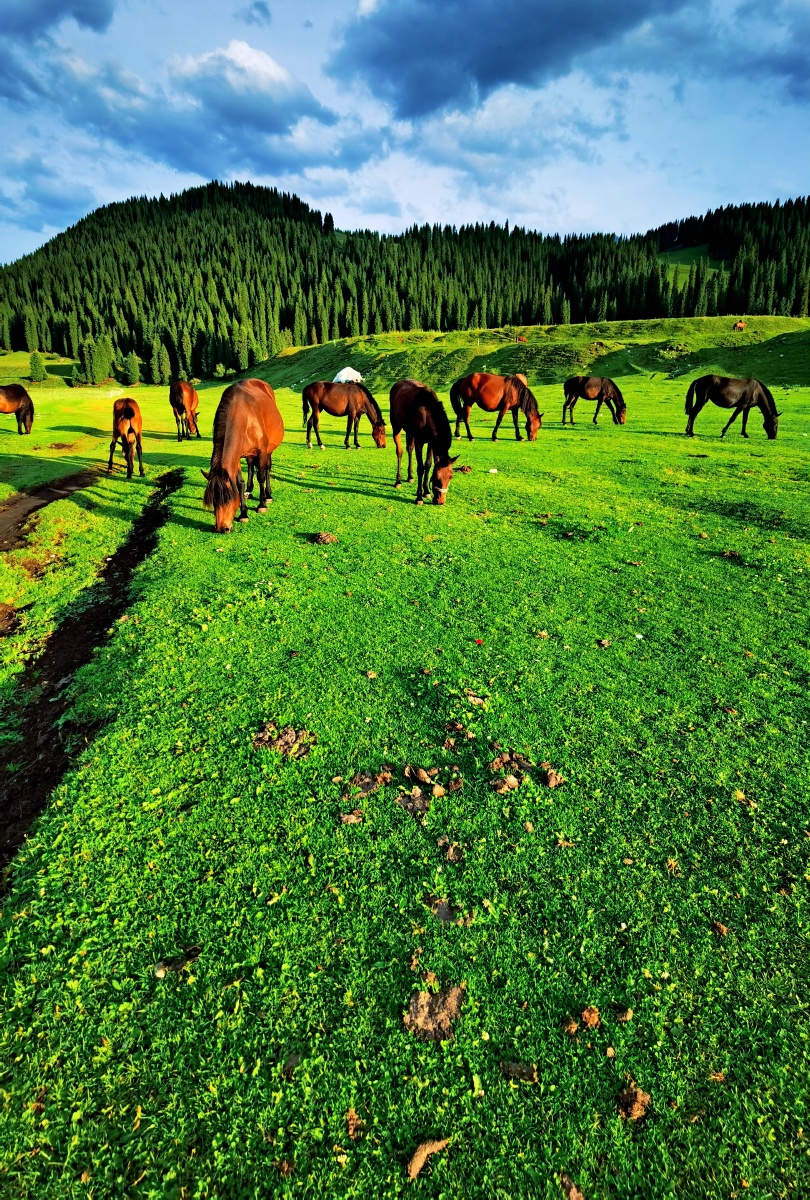 新疆伊利仙女湖