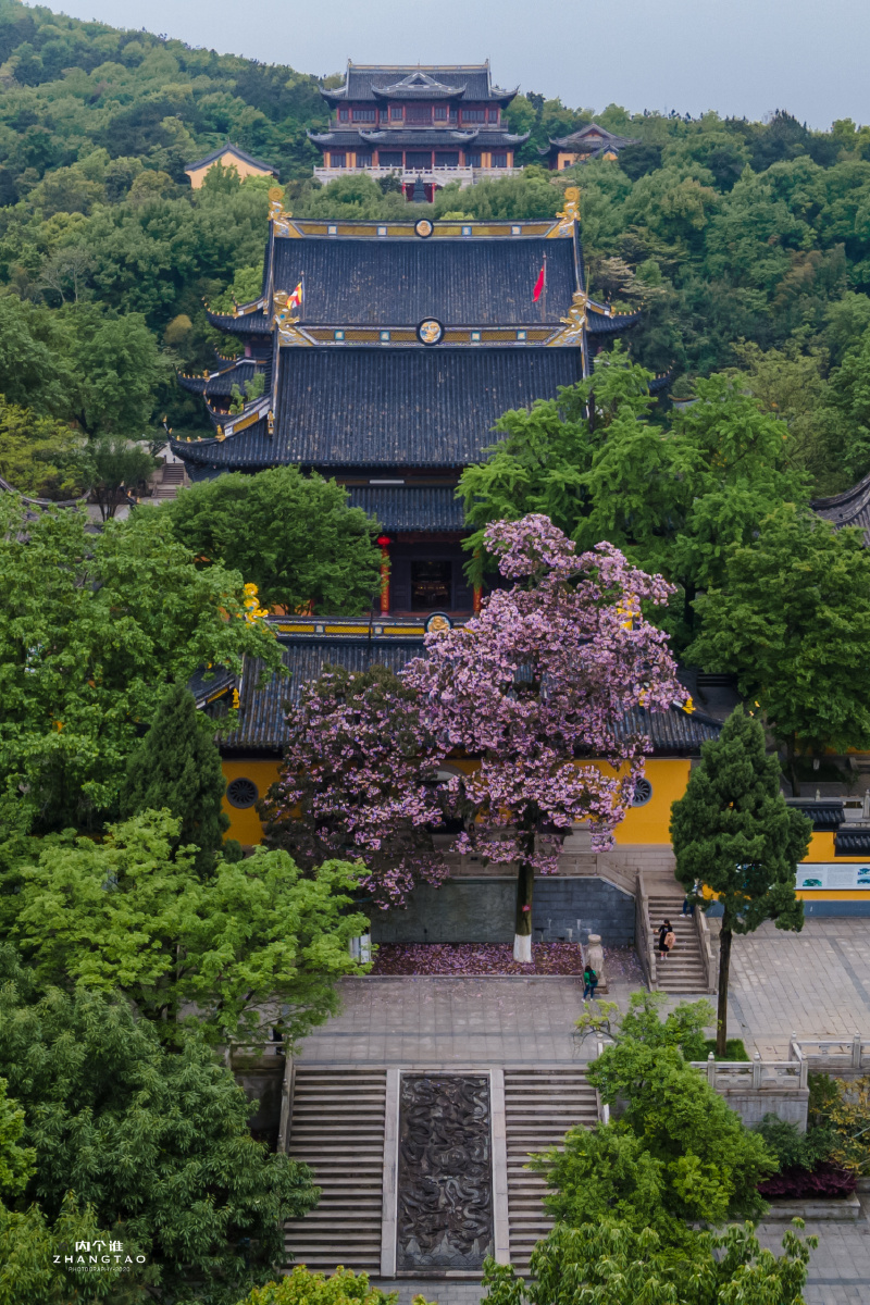 常熟三峰清凉禅寺楸树航拍