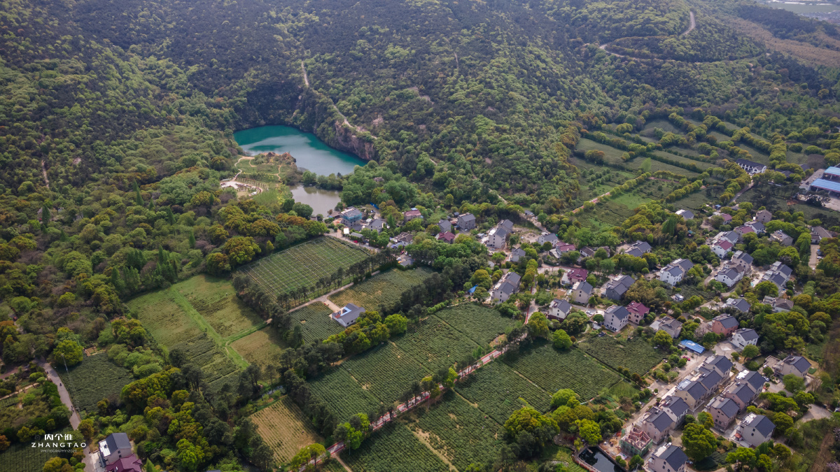 常熟虞山龙殿茶田茶农茶园
