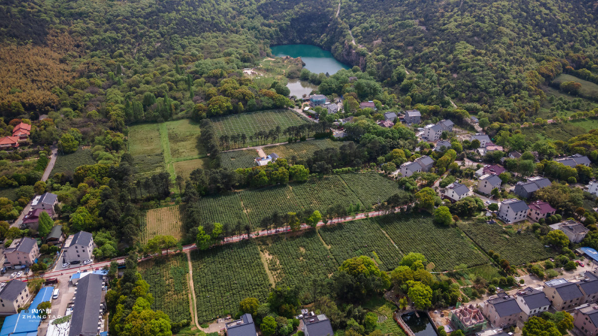 常熟虞山龙殿茶田茶农茶园