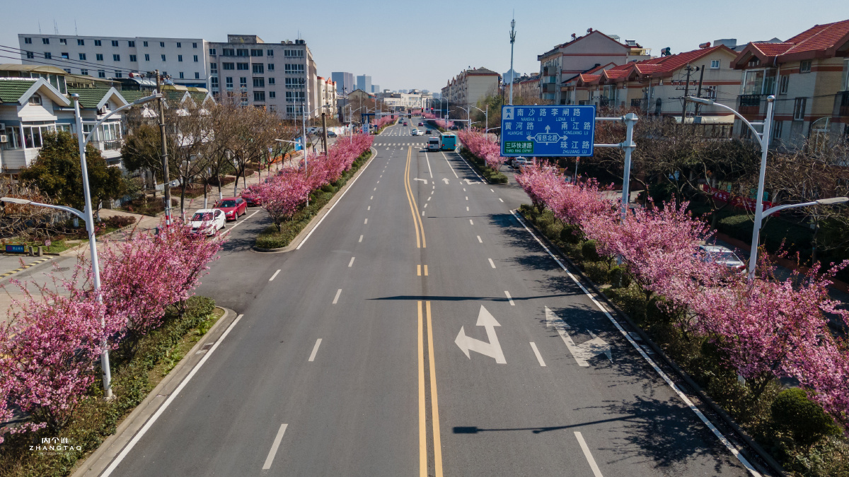 常熟长江路海棠