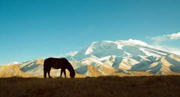 DSC_1095.jpg