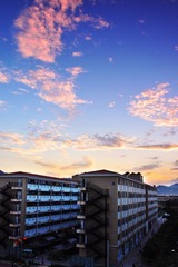 DSC_0081·.jpg
