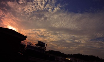 DSC_0051`.jpg