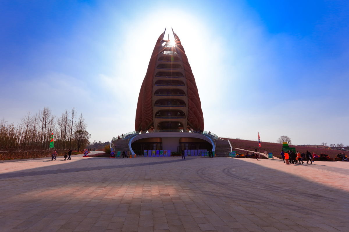 成都大熊猫繁育研究基地扩建区预开园试运行 - elizabeth-hhr - 图虫