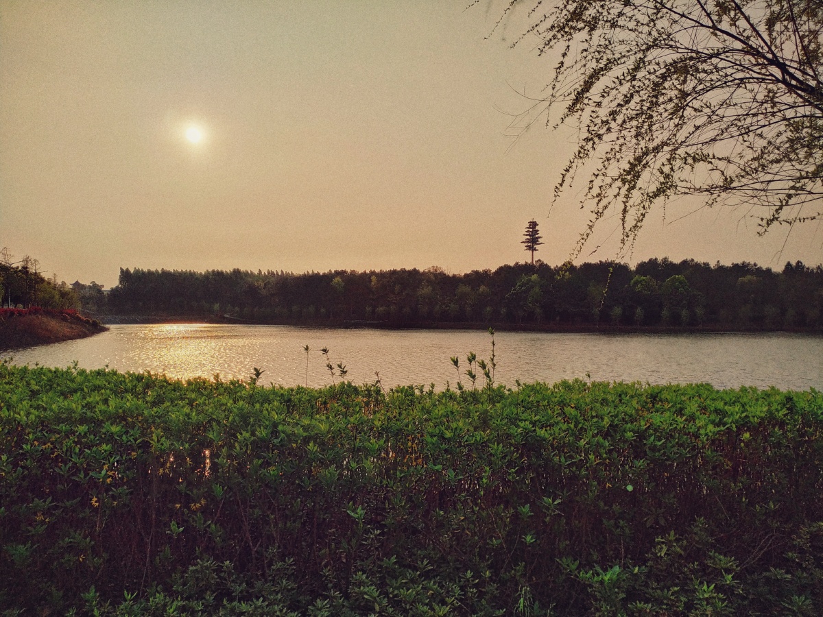 九宫格三分构图法