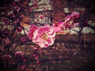 C360_2011-03-05 10-29-38