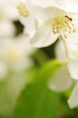IMG_5748.jpg