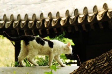 IMG_5782.jpg