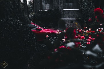 3421962