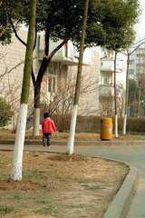 蹦跳