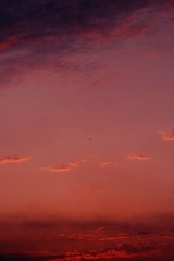 DSC_7810.jpg