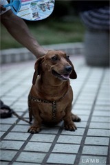 IMG_8757_1