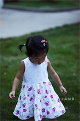 IMG_8752