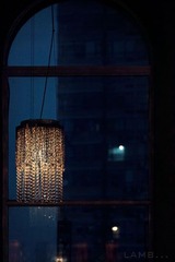 IMG_6330