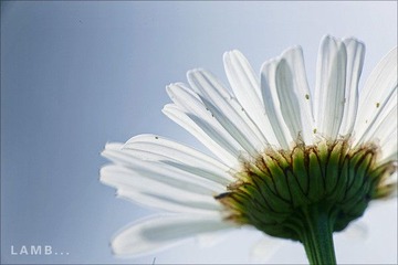 6ab82df3na371357e007d&690