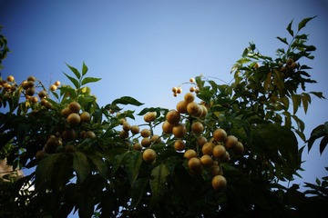 DSC00365.JPG