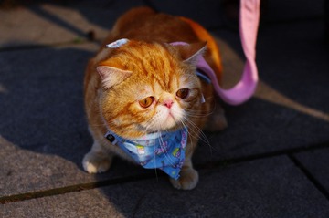 IMGP8873.jpg