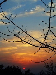 夕阳