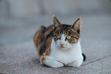 3212
