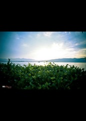 HangZhou Lake