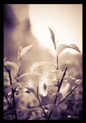 Spring is coming!