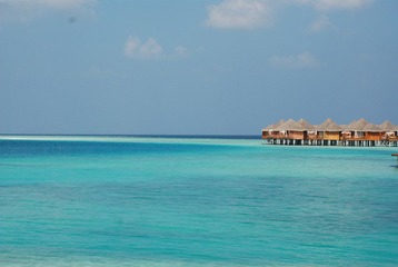 The beautiful Ocean