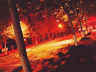 B65D4B62-B337-4894-AC81-D2F63CA0164E