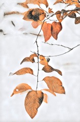 1312660